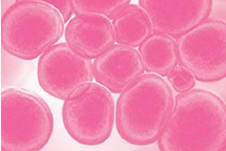 Bildundersökning av molekyler