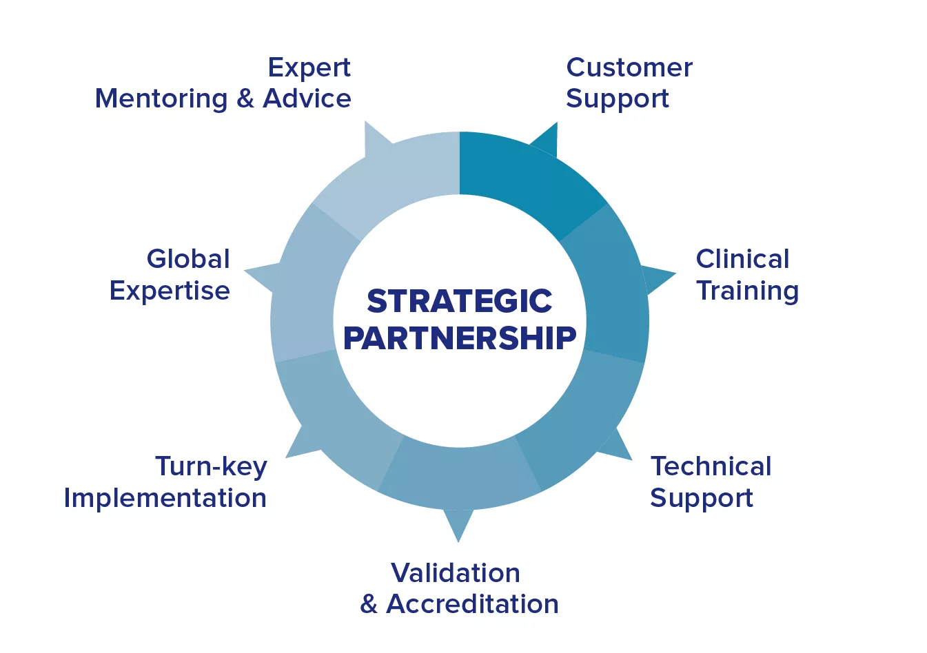 Grafik som visar en cirkel med avgränsade punkter anpassade efter nyckelord